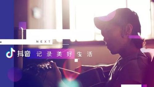 抖音娱乐吃瓜君被告,揭秘网络红人法律风险